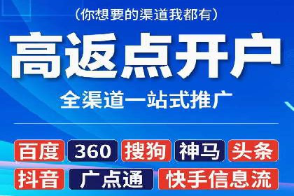 百度竞价SEM深度解析：某行业成功推广经验